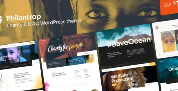 Philantrop Charity Nonprofit WordPress Theme Philantrop Charity & Nonprofit WordPress Theme