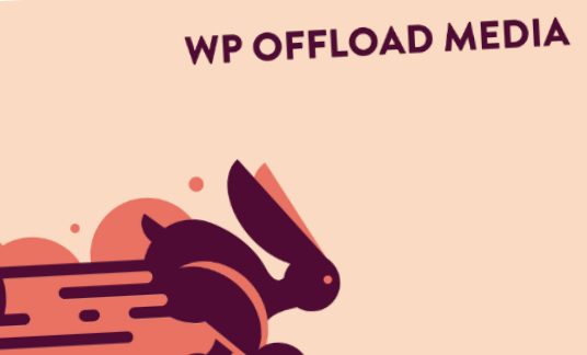 WP Offload Media Pro WP Offload Media Pro